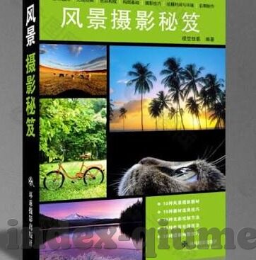 单1足球比分-单1足球比分，一场比赛背后的数据密码与情感交响