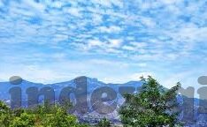 中体网足球即时比分-探秘中体网足球即时比分，球迷的实时战报宝库